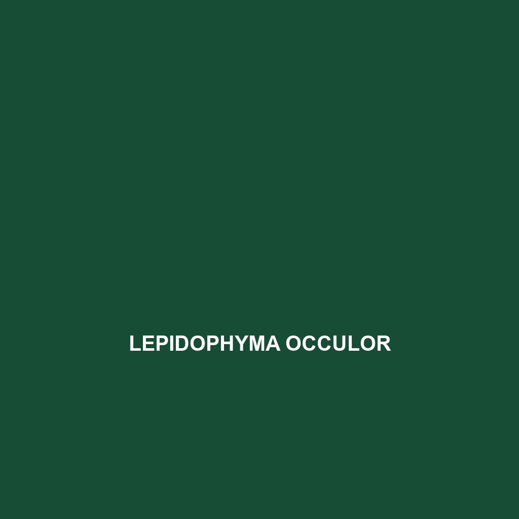 Lepidophyma occulor