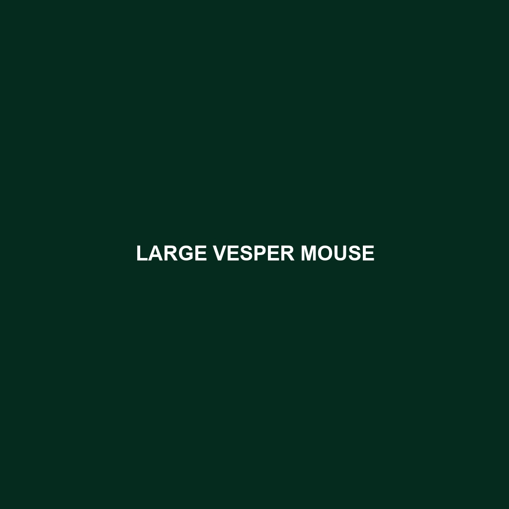 Large Vesper Mouse