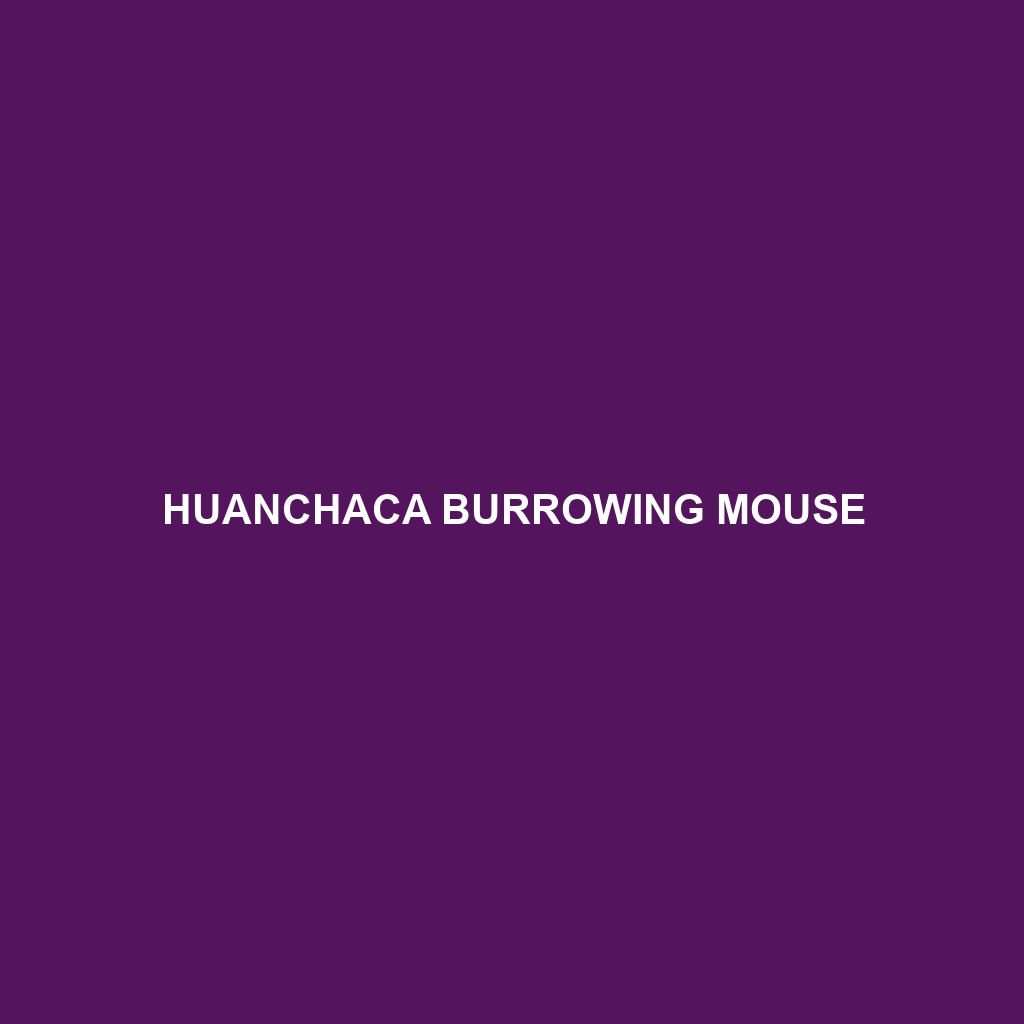 Huanchaca Burrowing Mouse