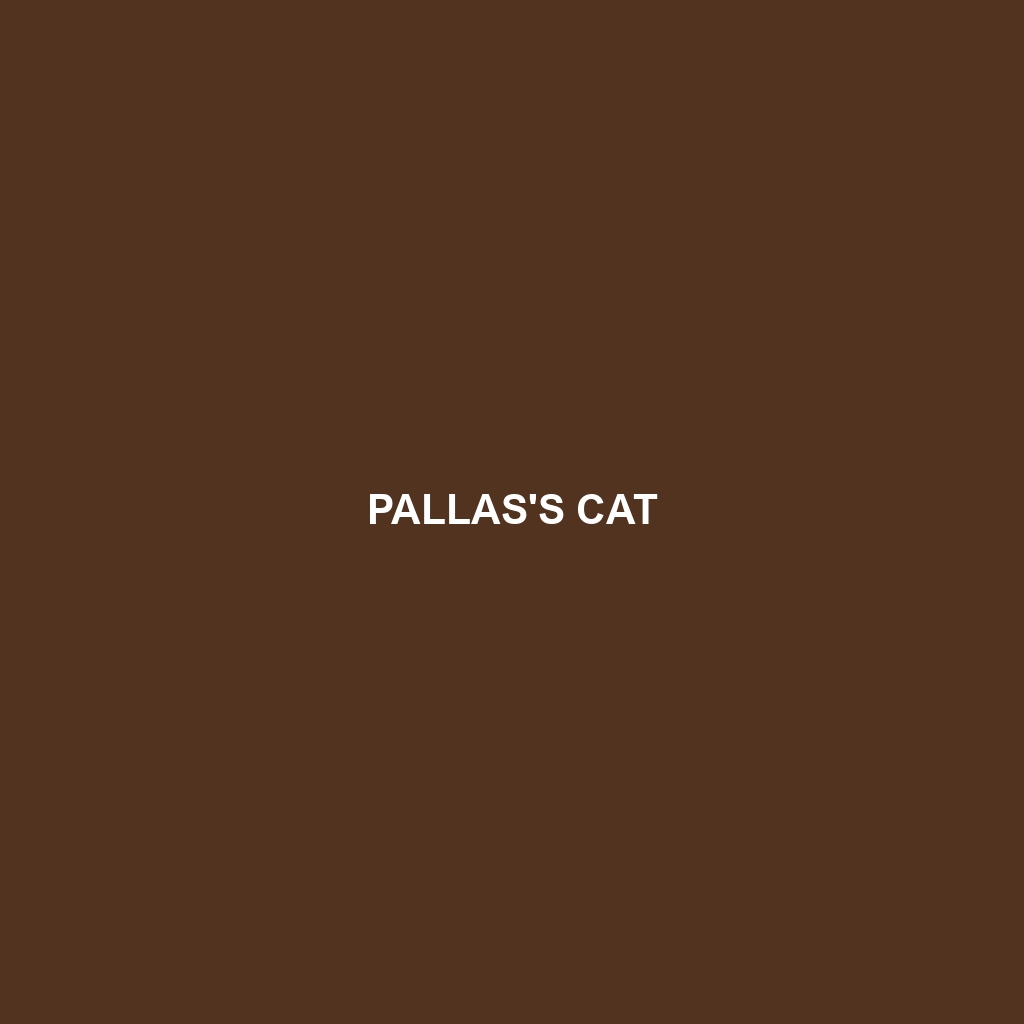 Pallas's Cat