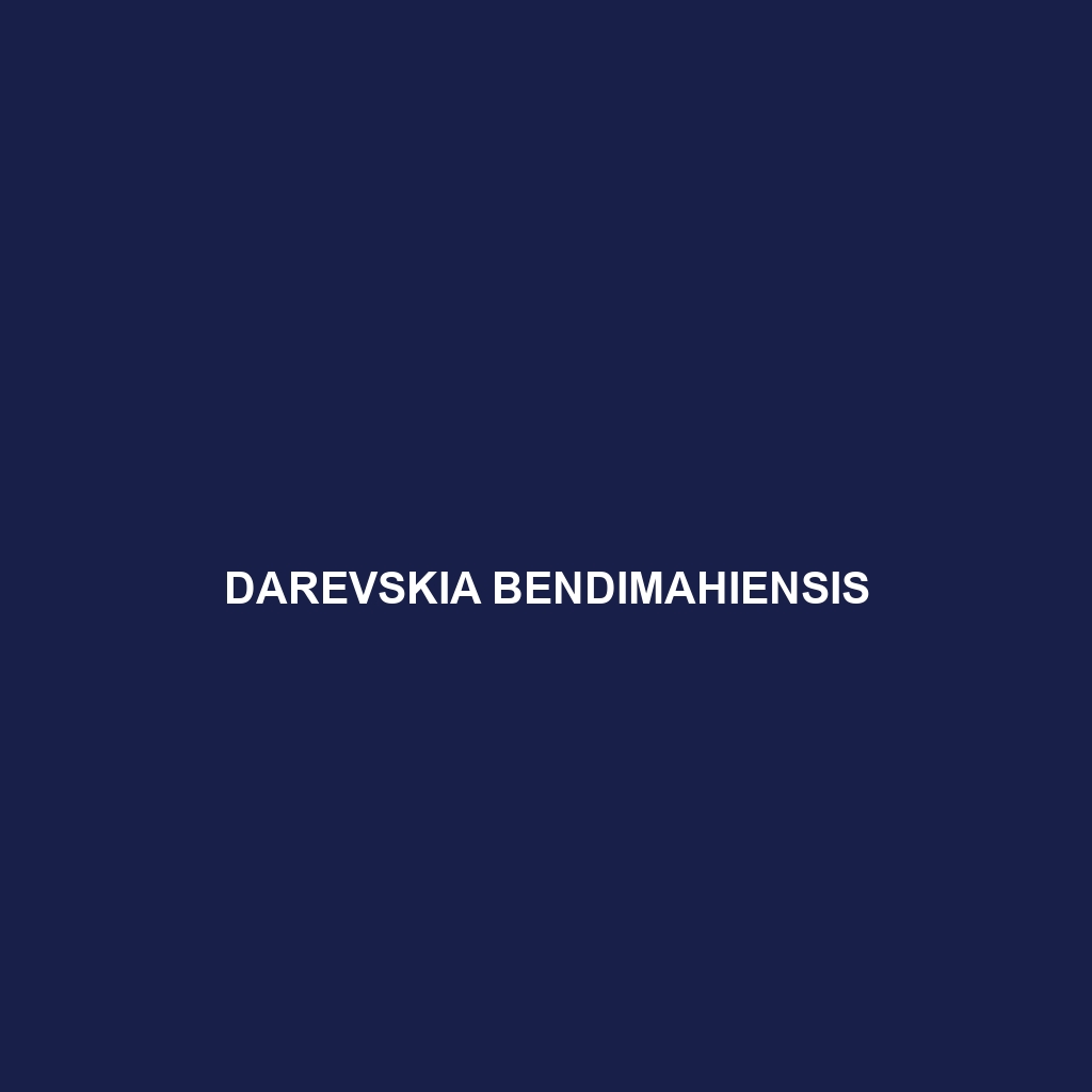 Darevskia bendimahiensis