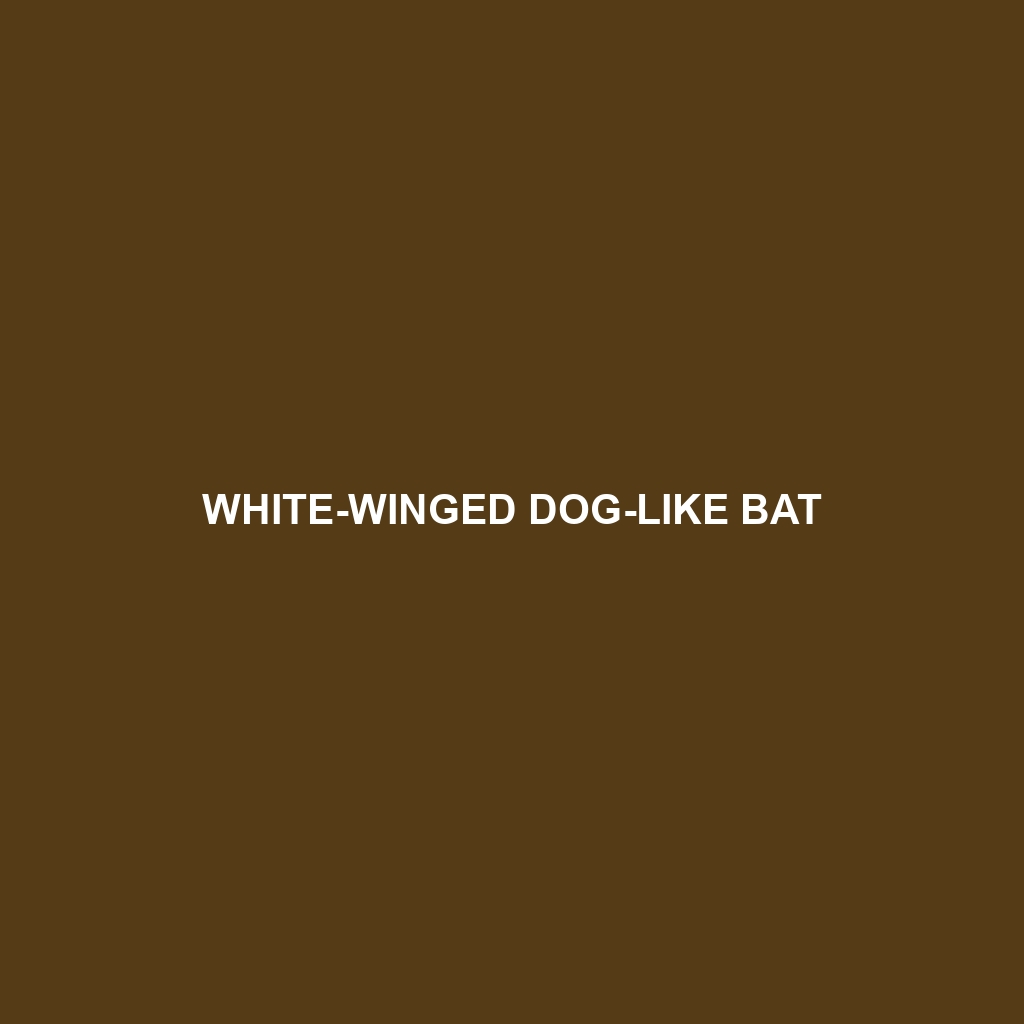 White-winged Dog-like Bat