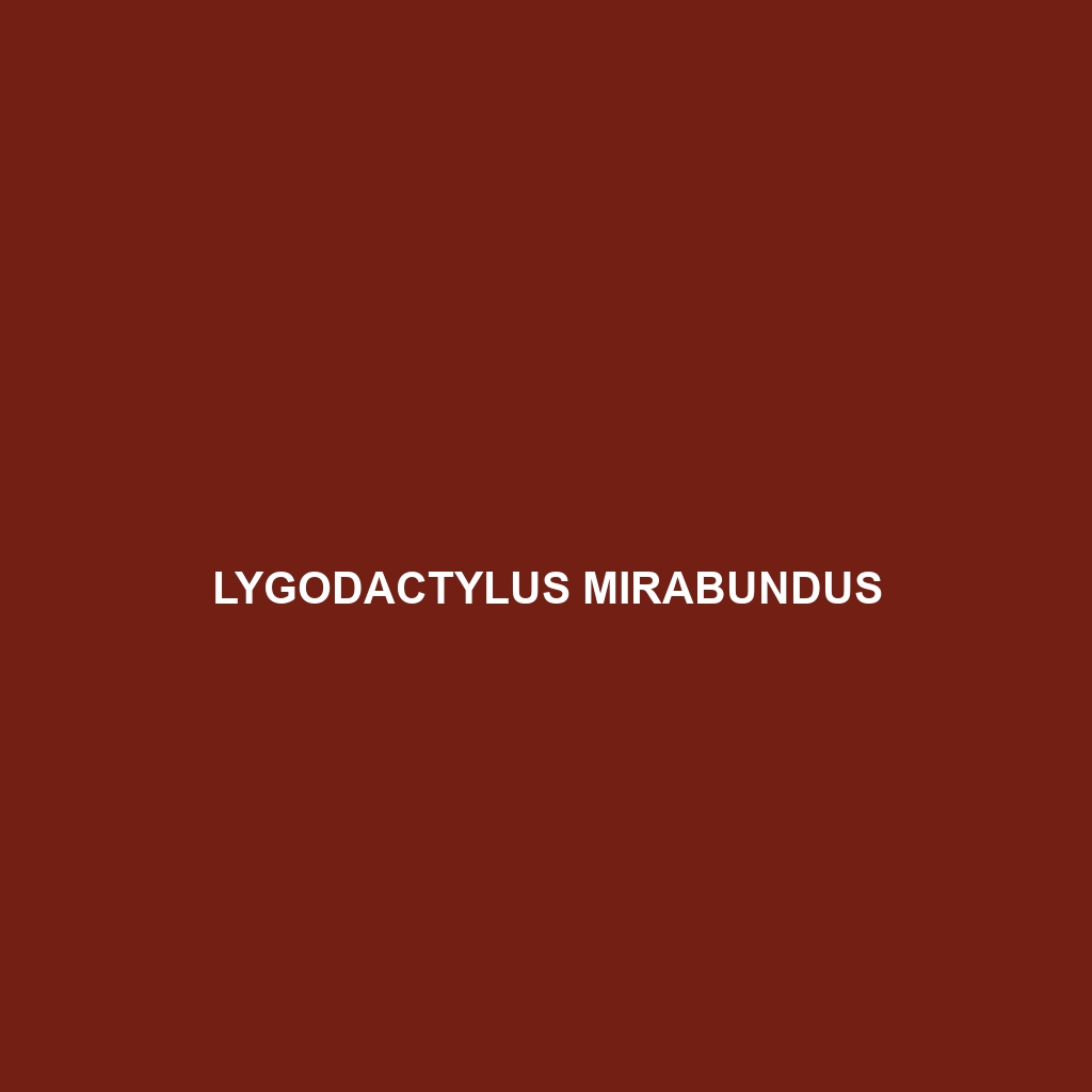 Lygodactylus mirabundus