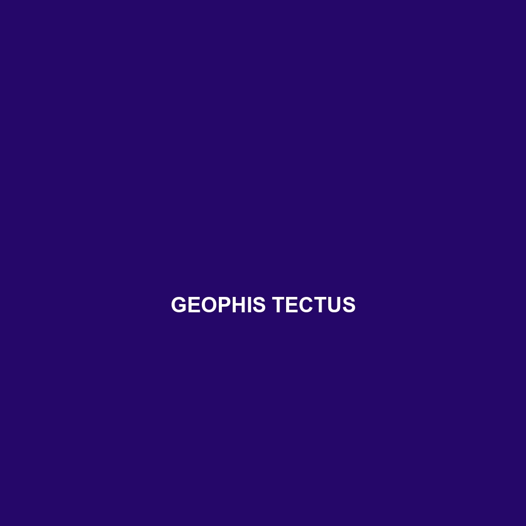 Geophis tectus