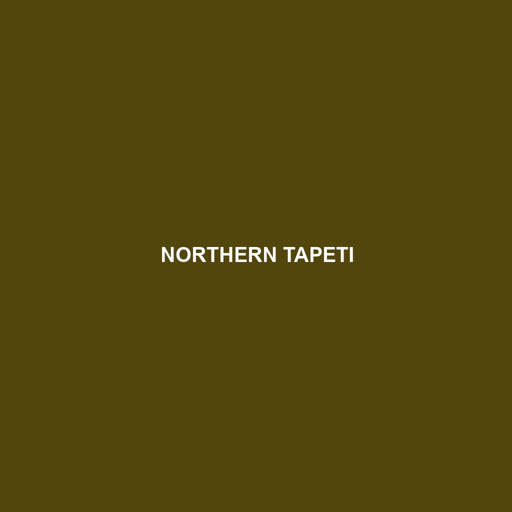 Northern Tapeti