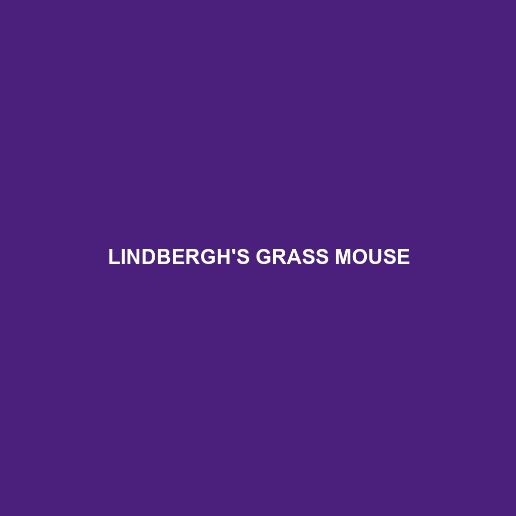 Lindbergh's Grass Mouse