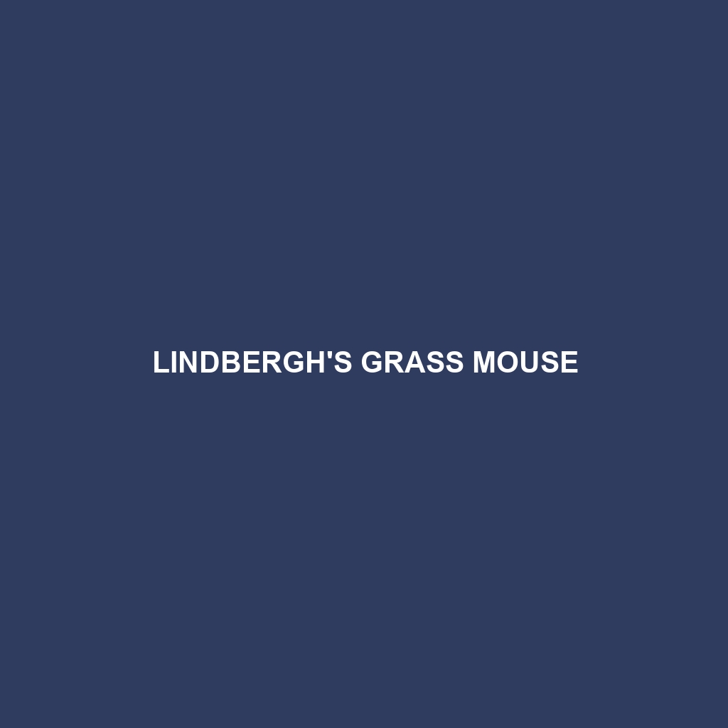 Lindbergh's Grass Mouse