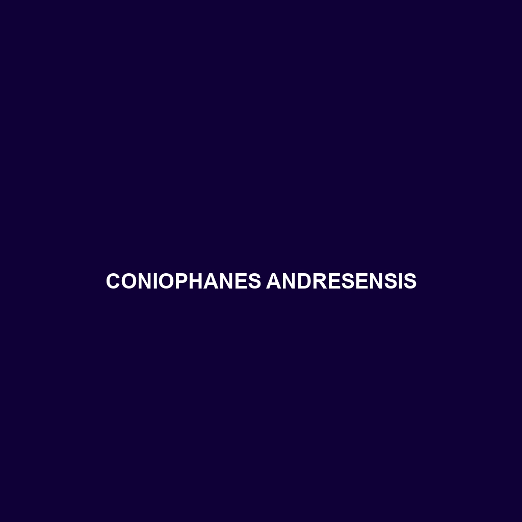 Coniophanes andresensis