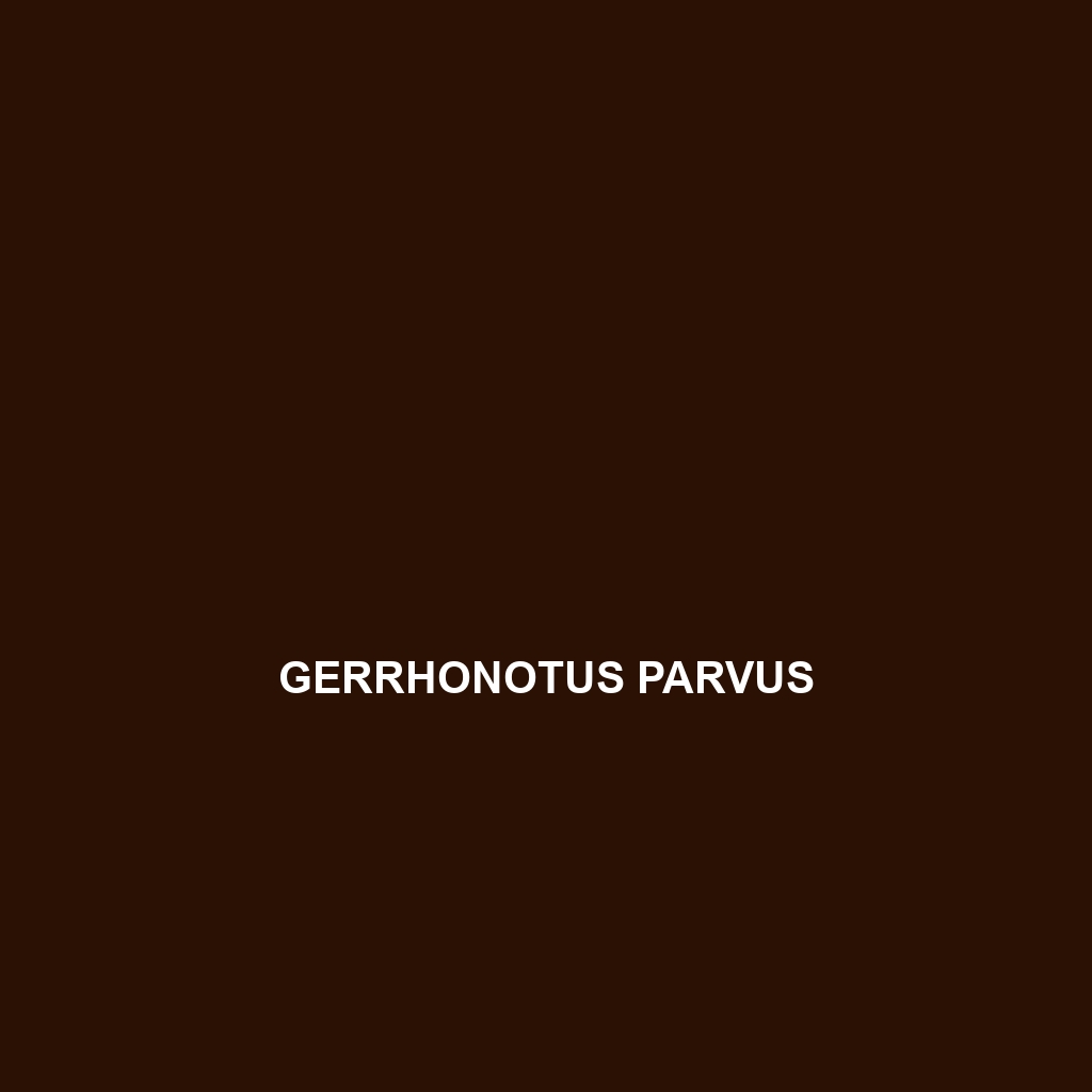 Gerrhonotus parvus