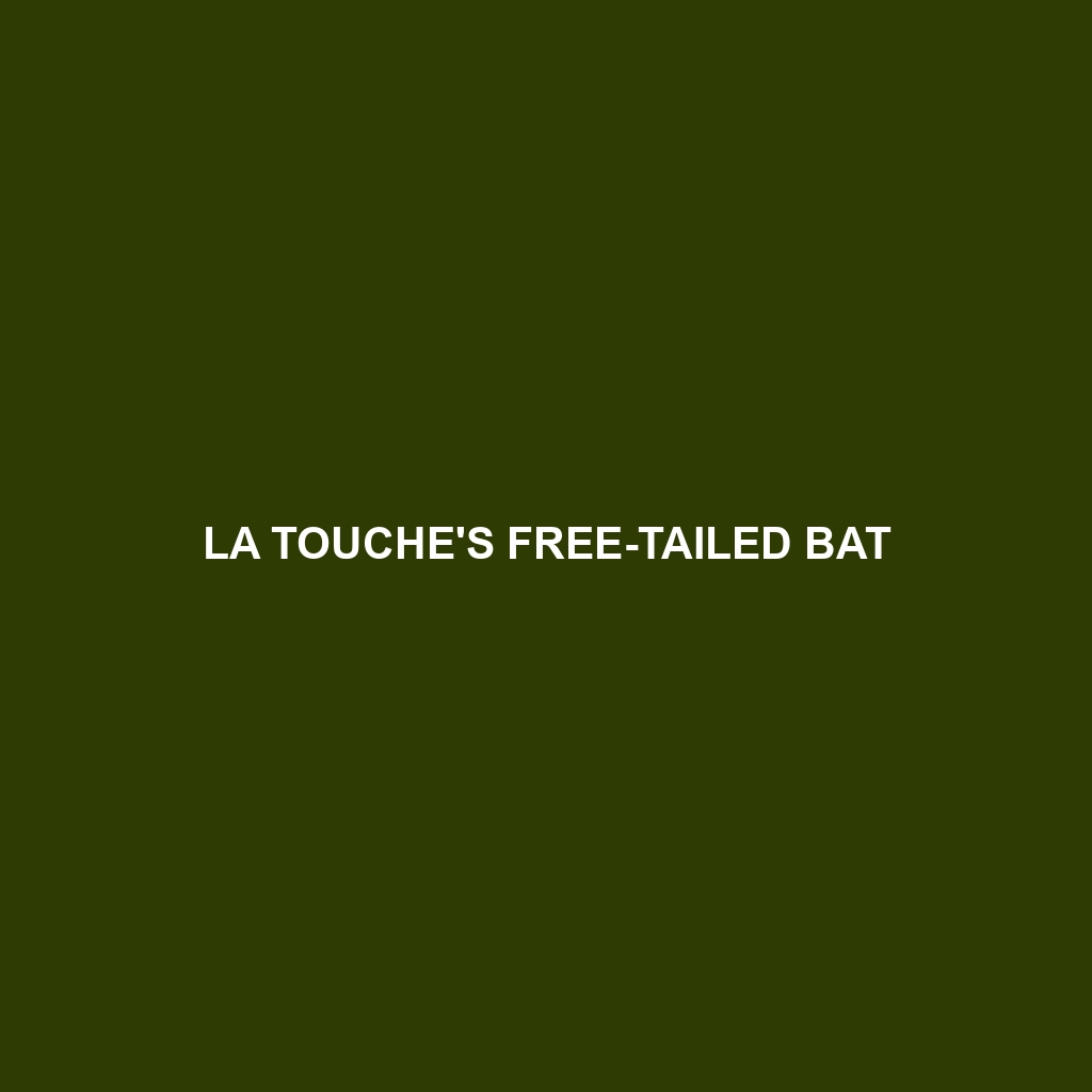 La Touche's Free-tailed Bat