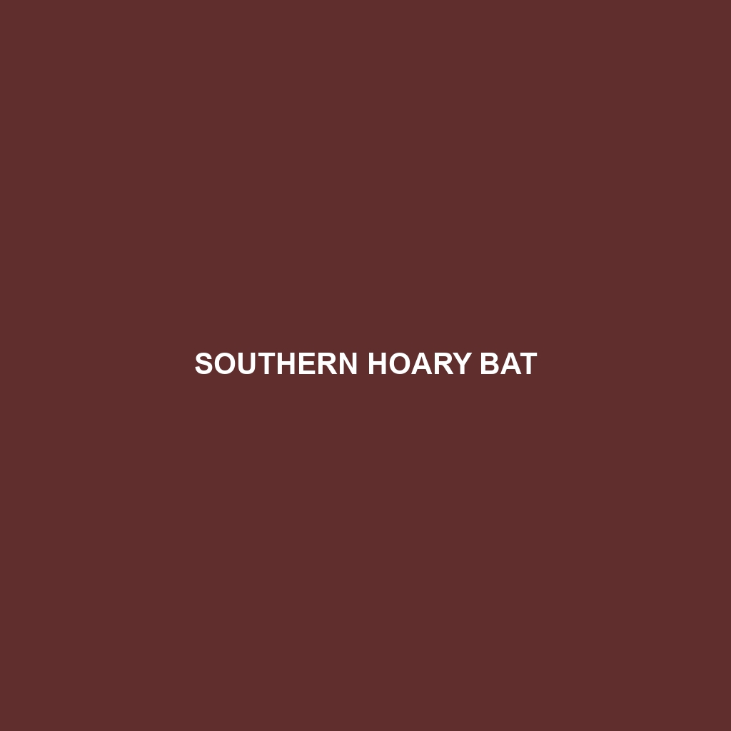 Southern Hoary Bat