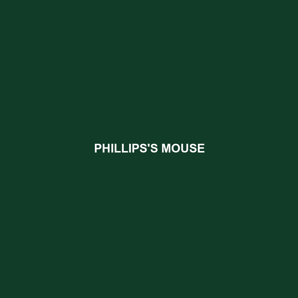 Phillips's Mouse