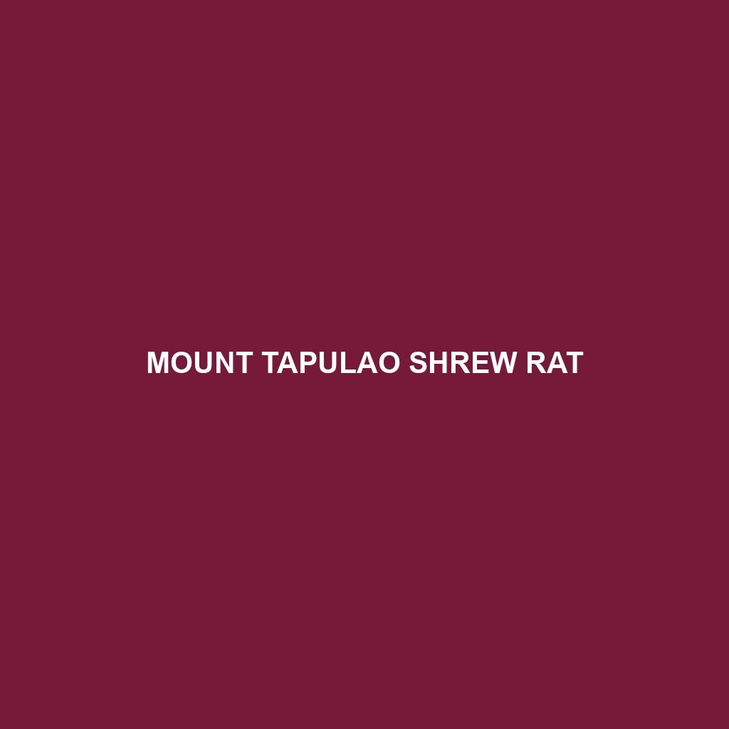 Mount Tapulao Shrew Rat