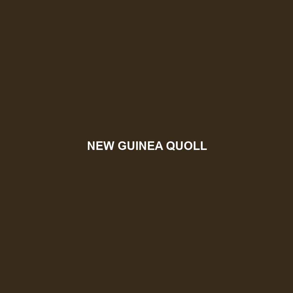 New Guinea Quoll