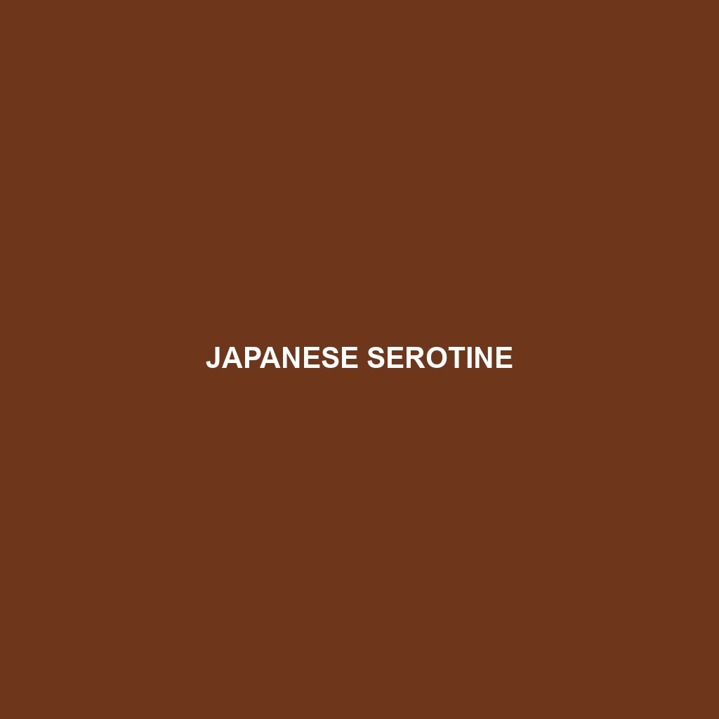 Japanese Serotine