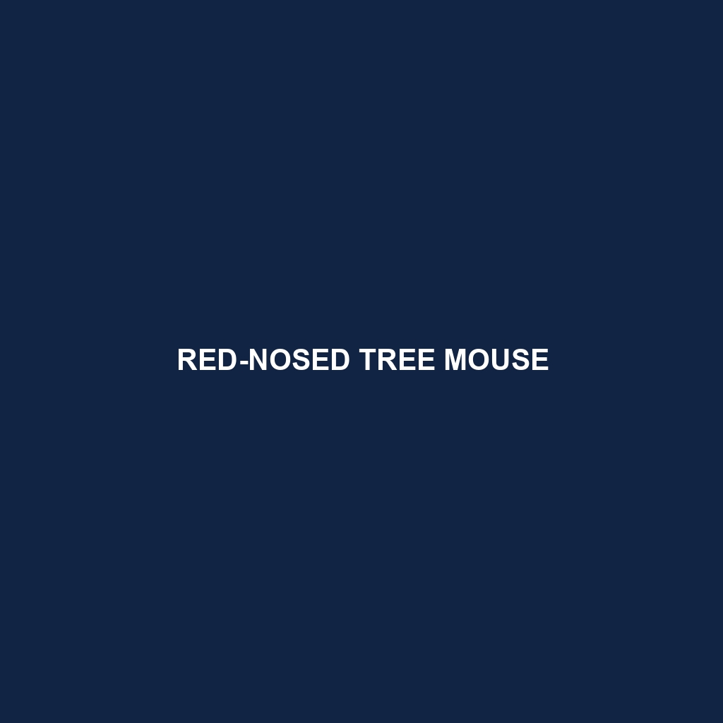 Red-nosed Tree Mouse