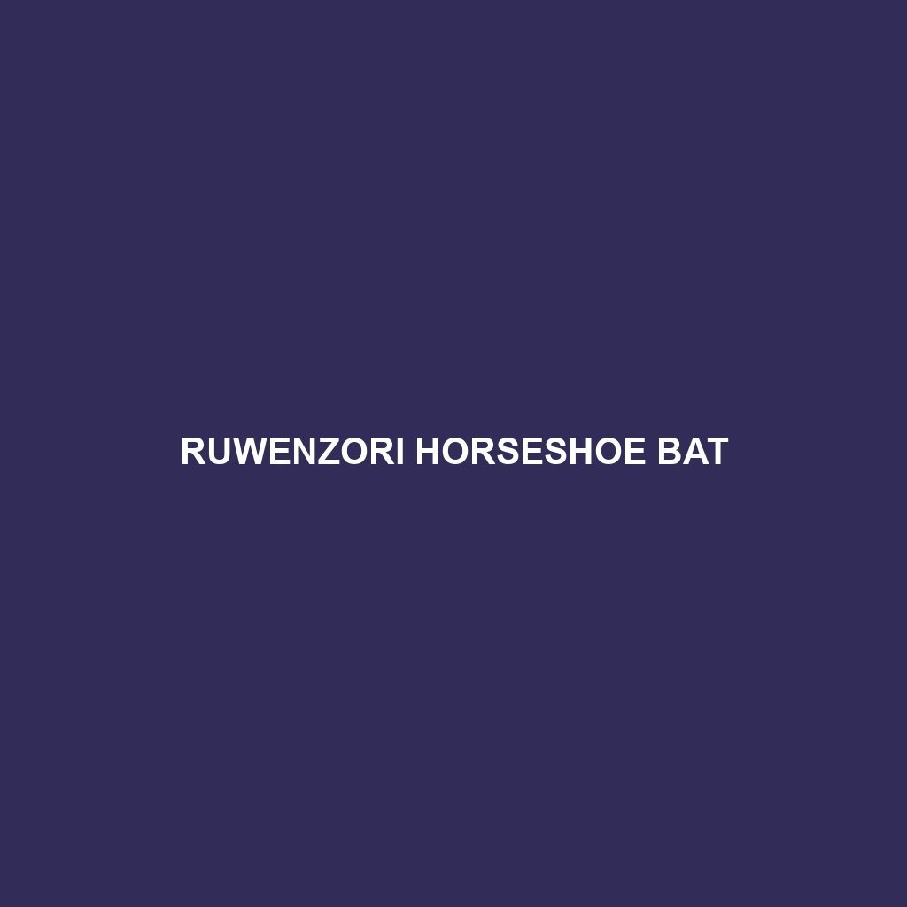 Ruwenzori Horseshoe Bat