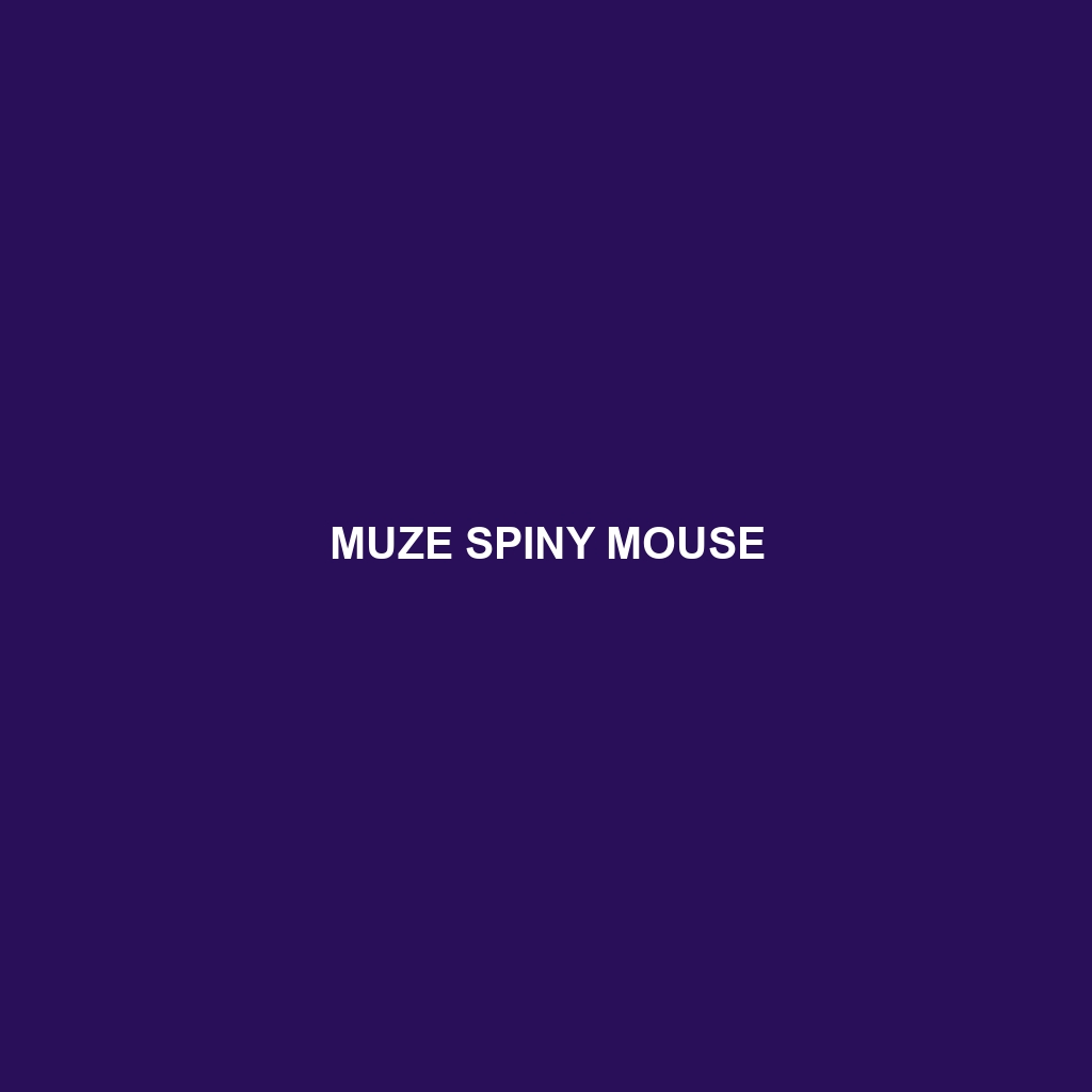 Muze Spiny Mouse