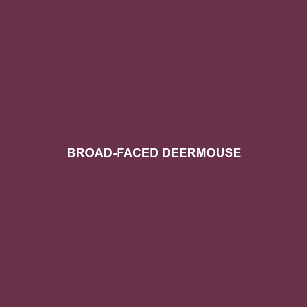 Broad-faced Deermouse