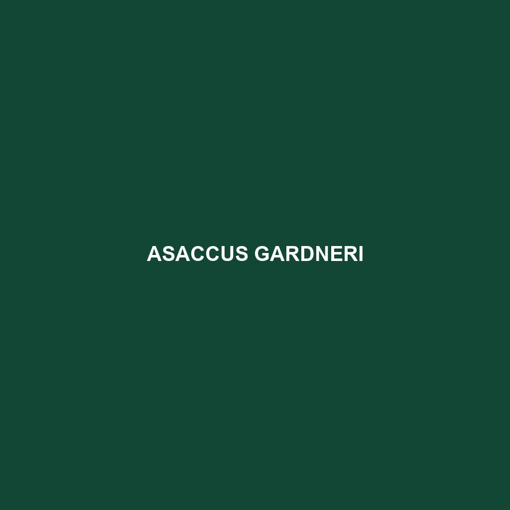 Asaccus gardneri