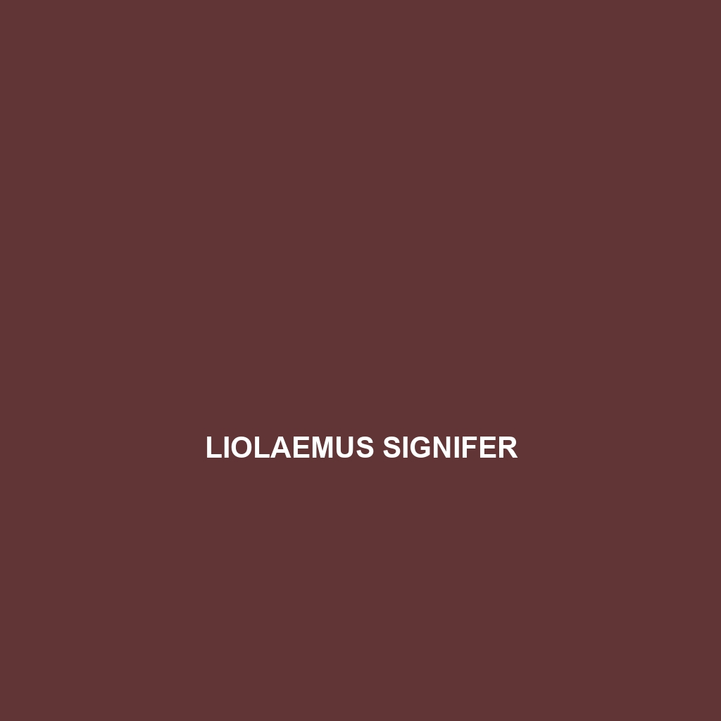 Liolaemus signifer