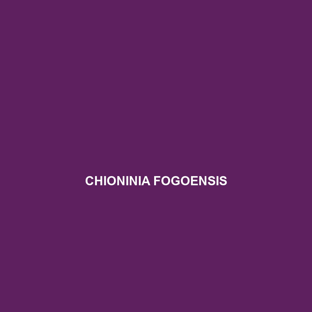 Chioninia fogoensis