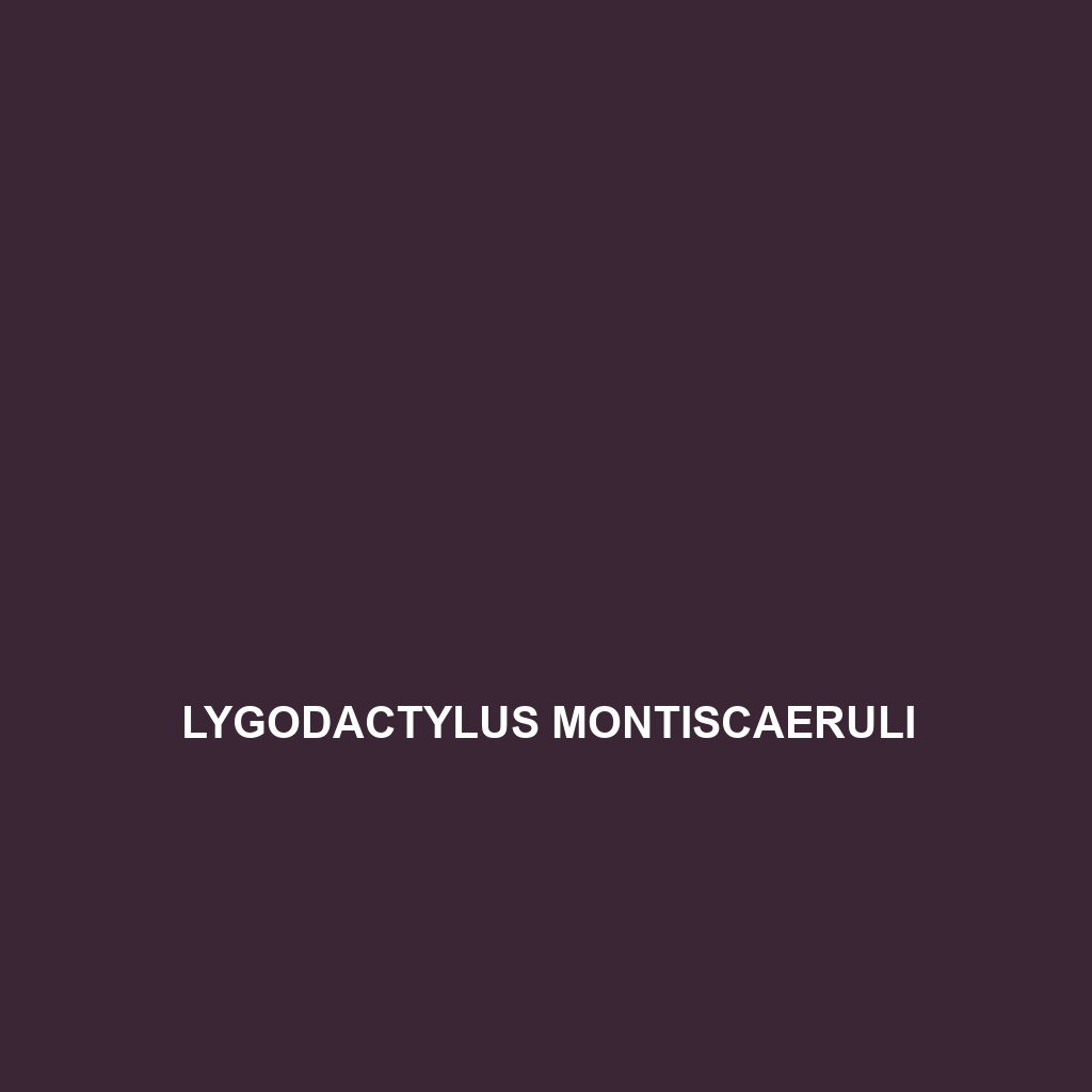 Lygodactylus montiscaeruli