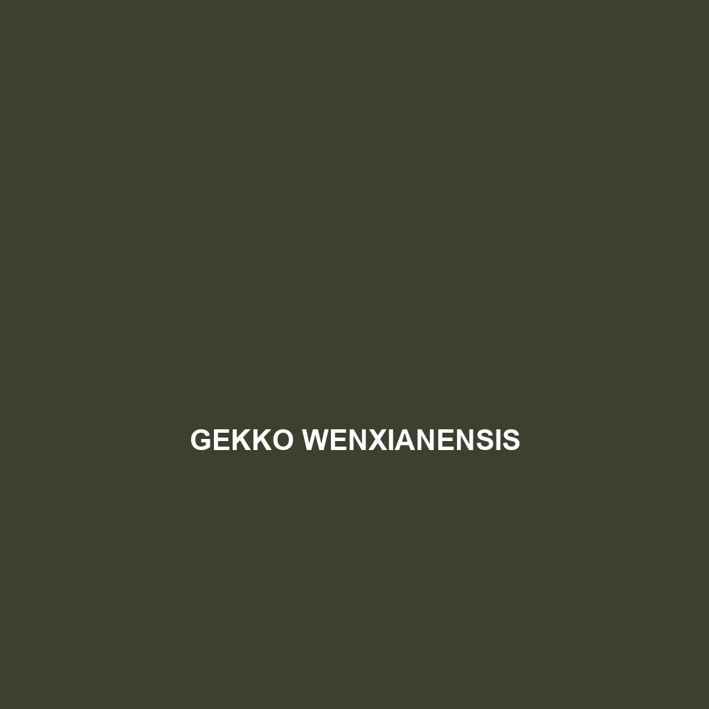 Gekko wenxianensis