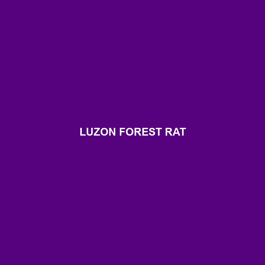 Luzon Forest Rat