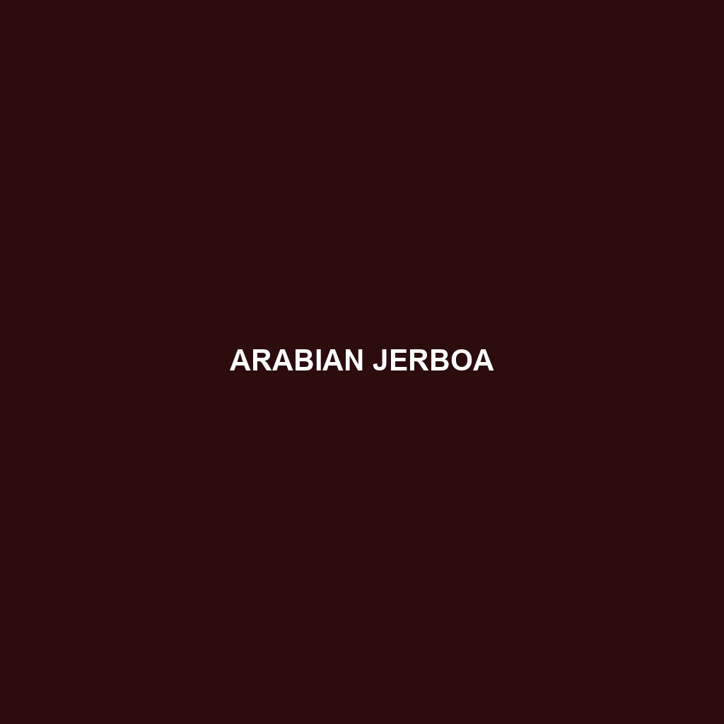 Arabian Jerboa