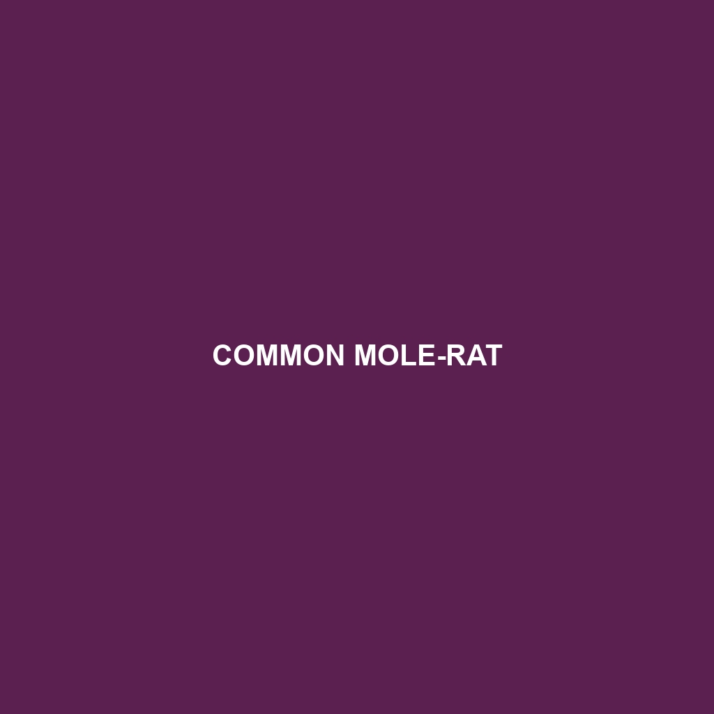 Common Mole-rat