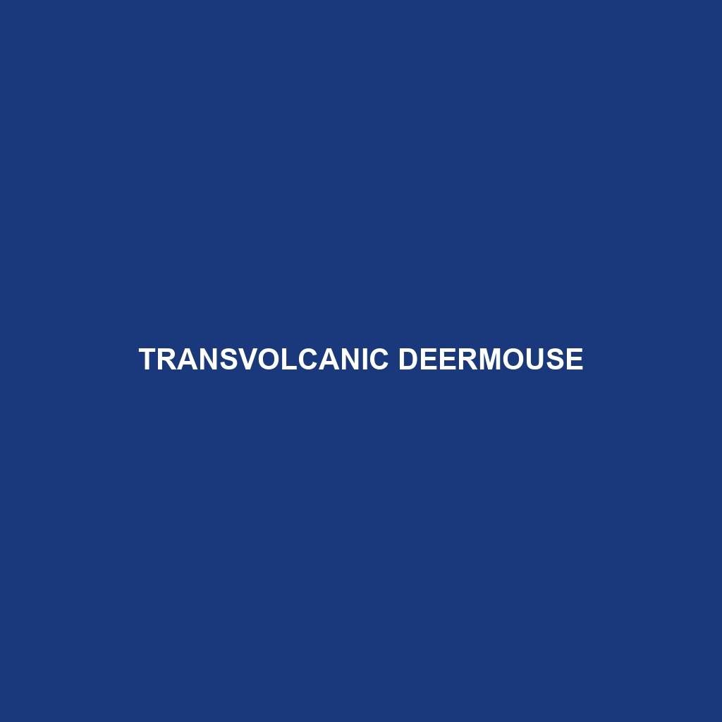 Transvolcanic Deermouse