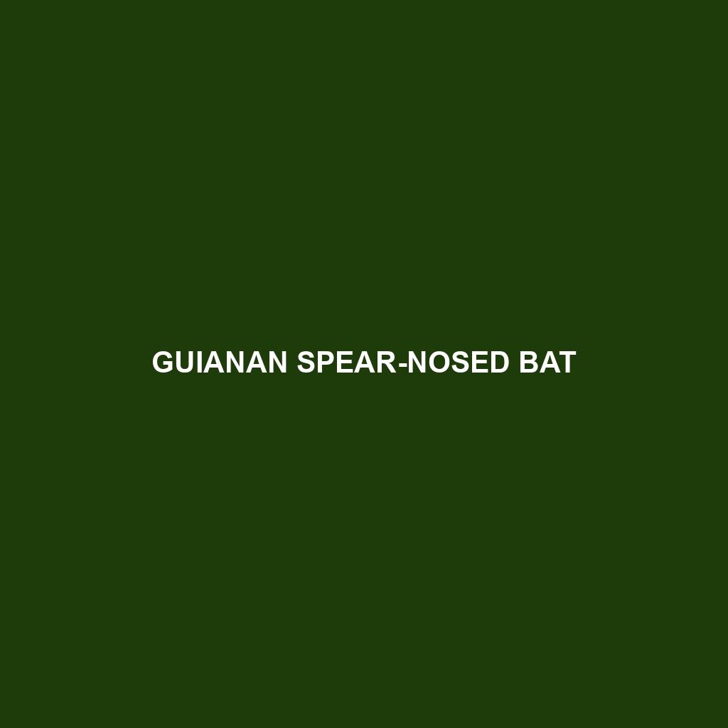 Guianan Spear-nosed Bat