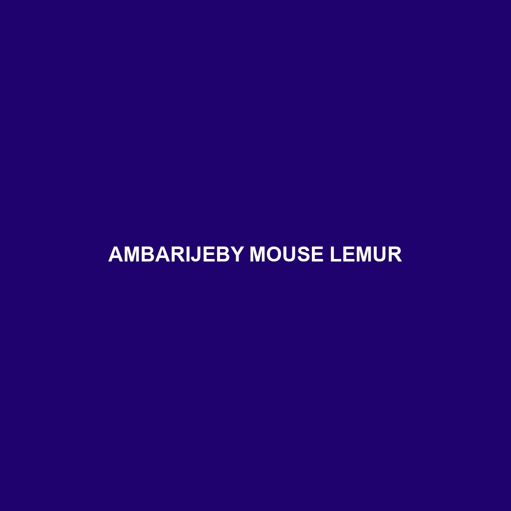 Ambarijeby Mouse Lemur