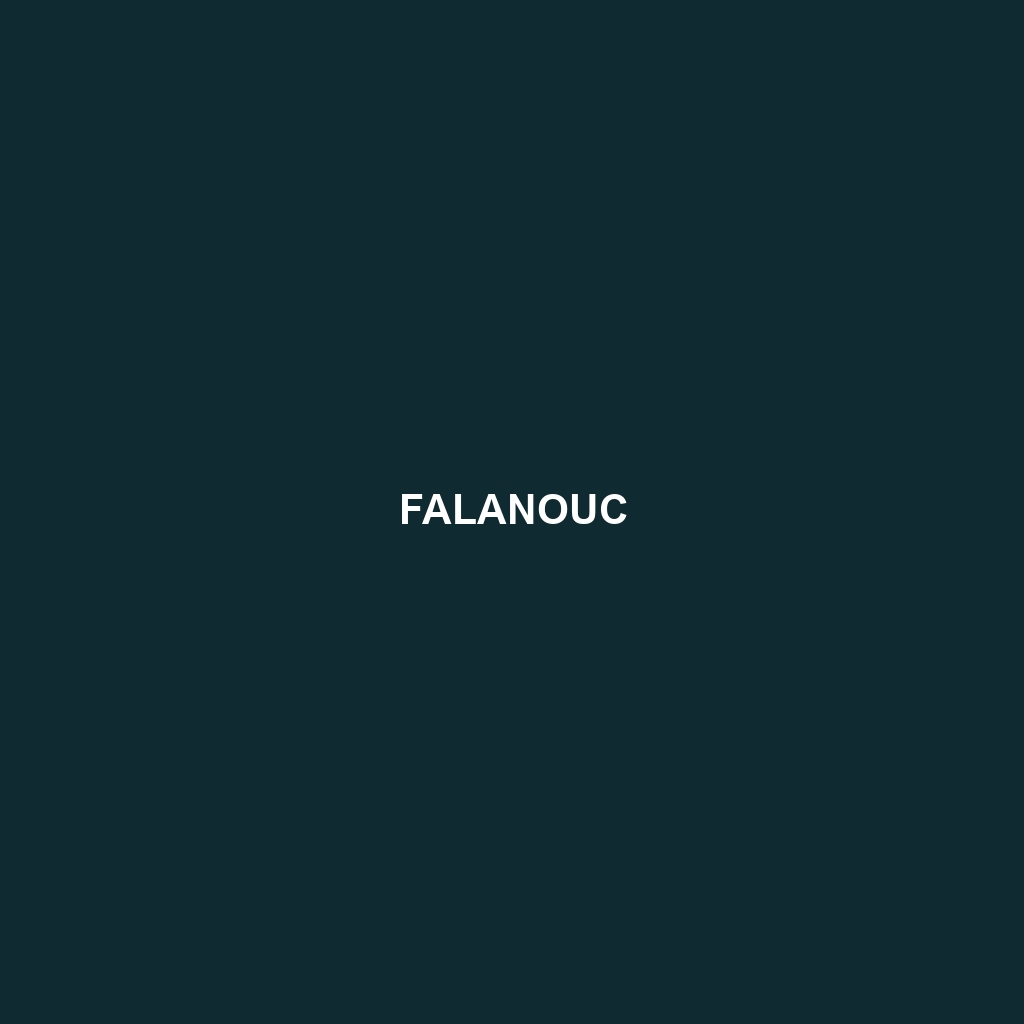 Falanouc