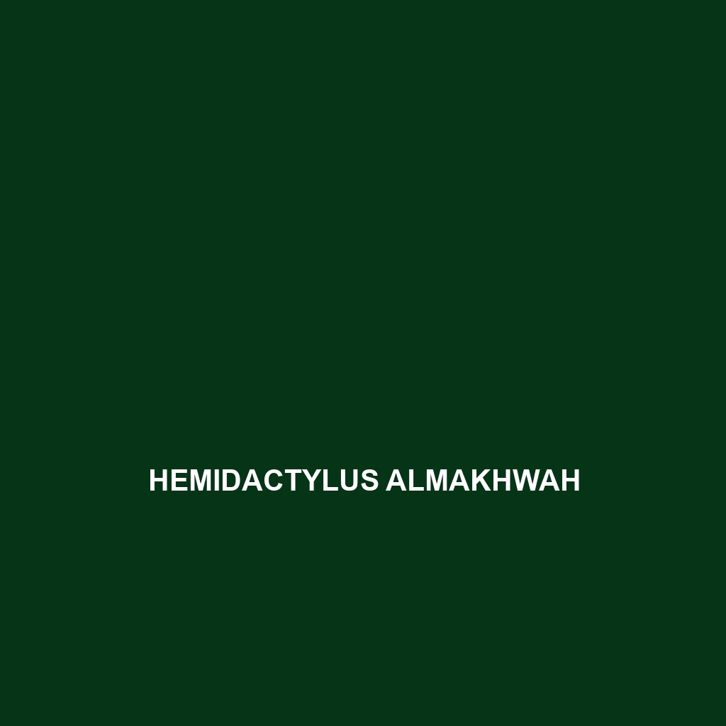 Hemidactylus almakhwah