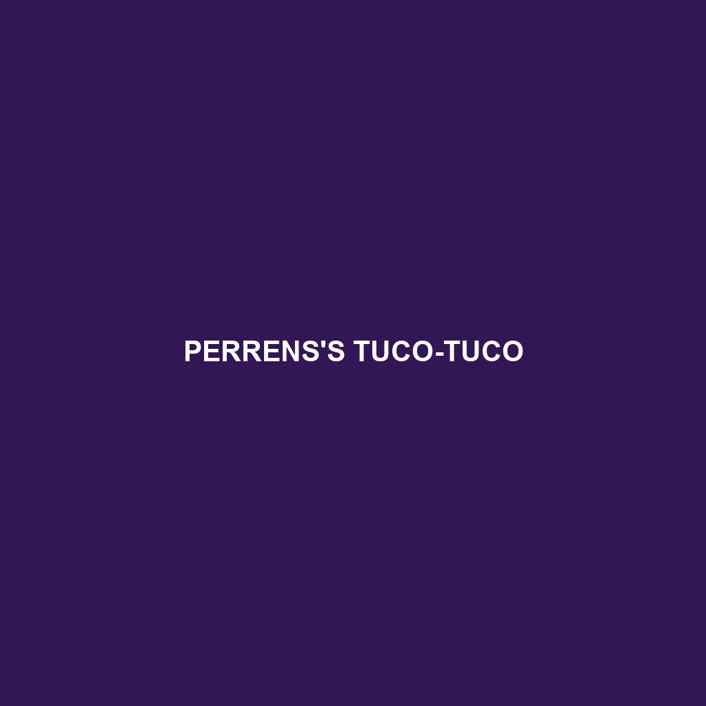 Perrens's Tuco-tuco