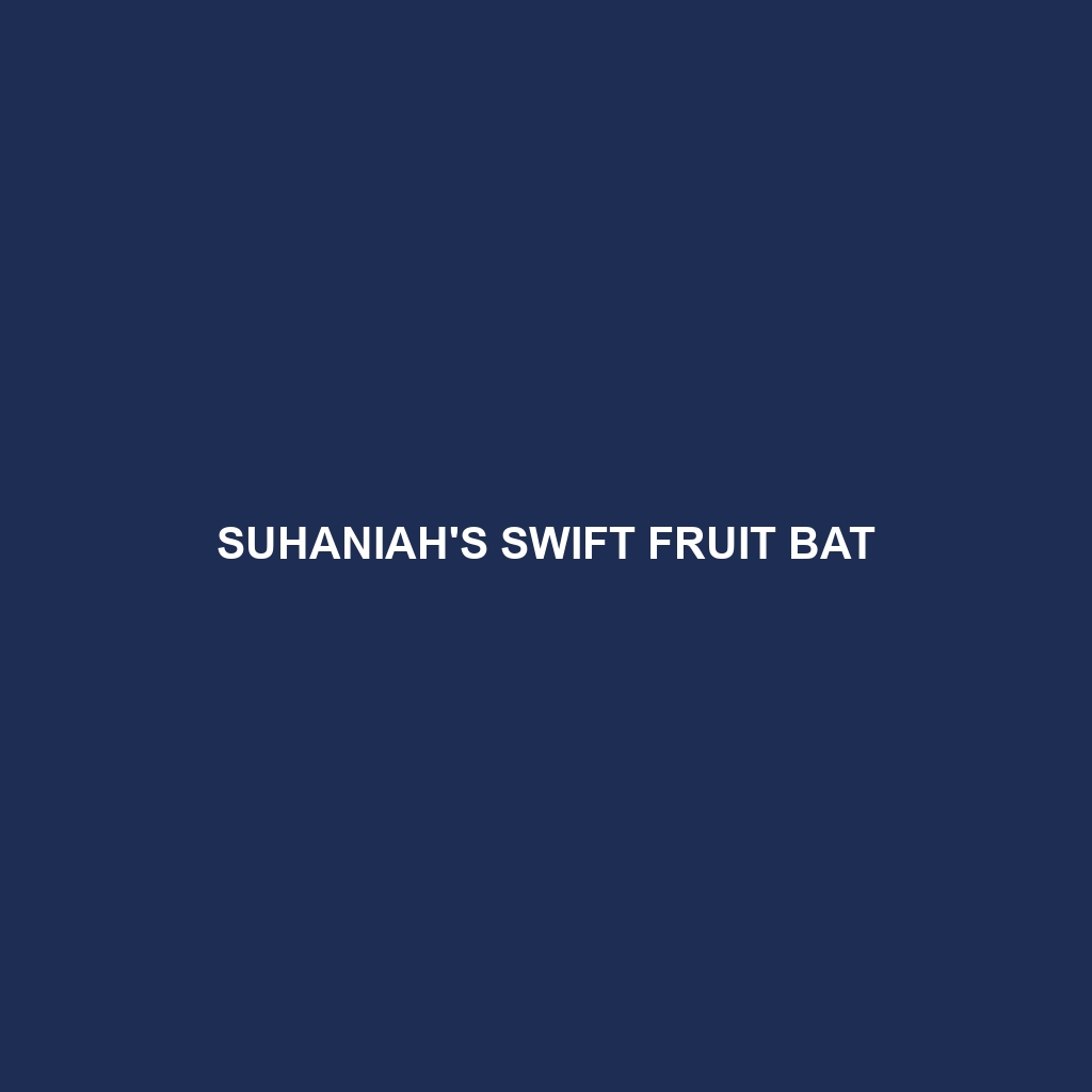 Suhaniah's Swift Fruit Bat