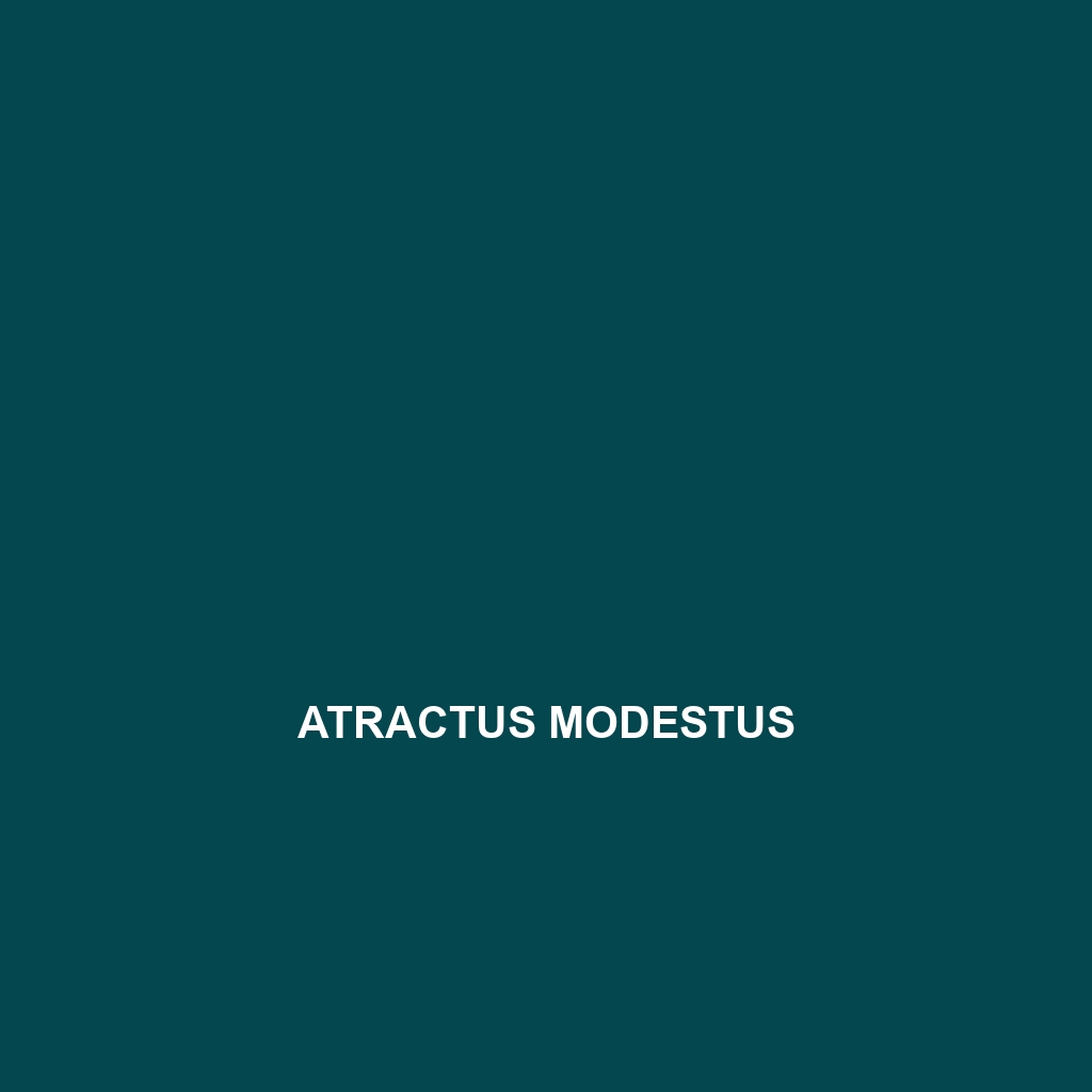 Atractus modestus