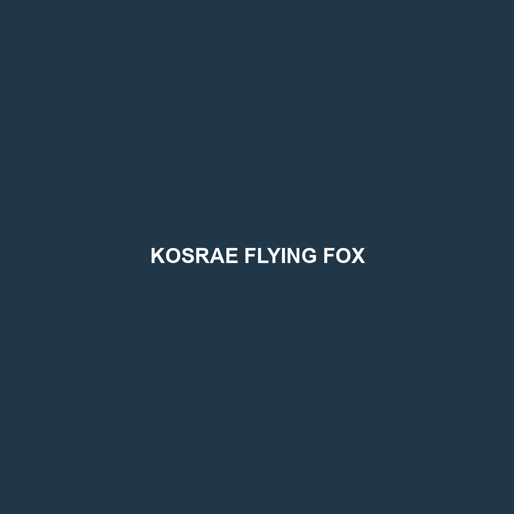 Kosrae Flying Fox