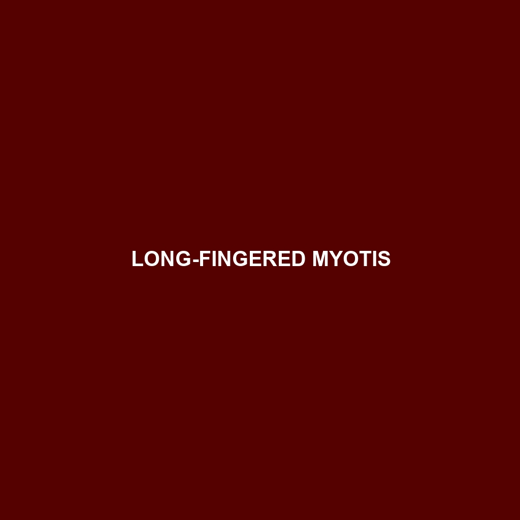 Long-fingered Myotis