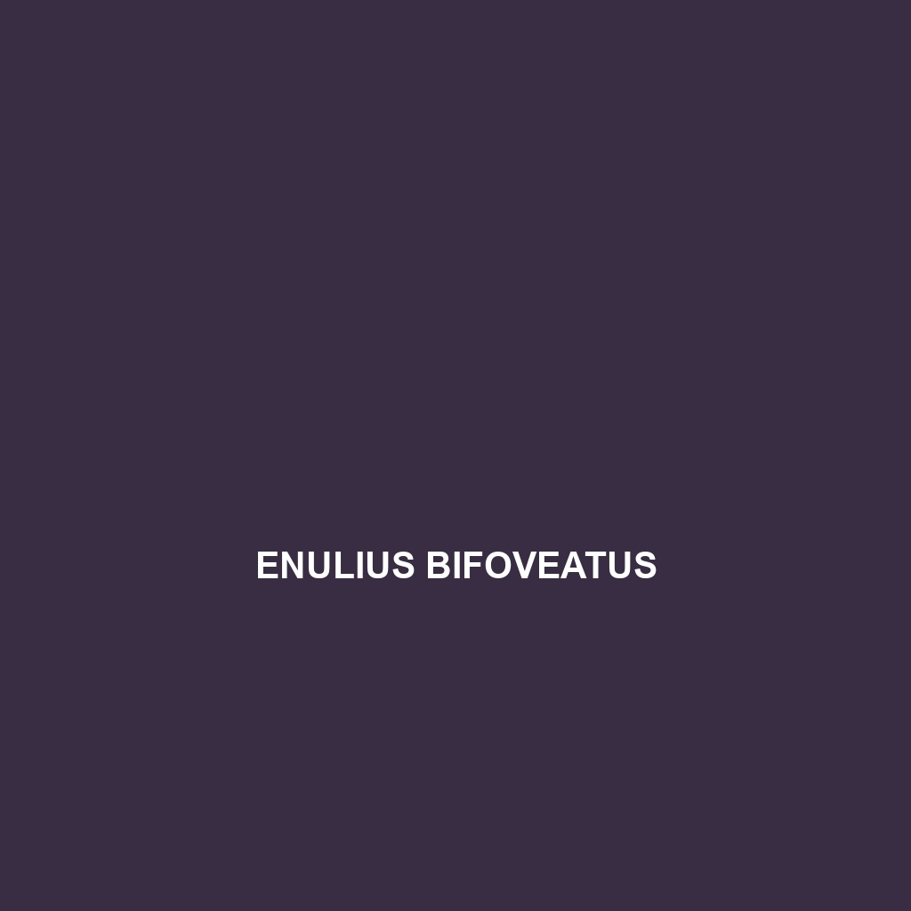 Enulius bifoveatus