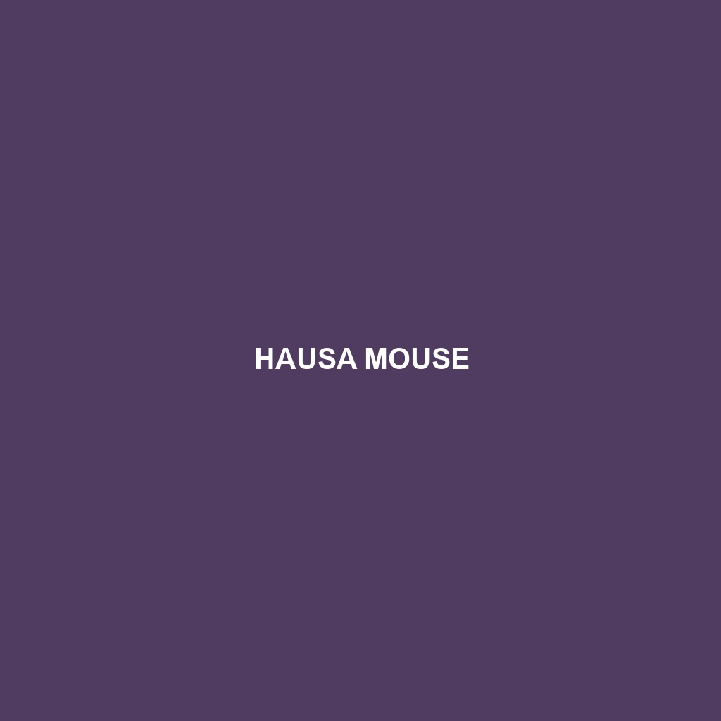 Hausa Mouse