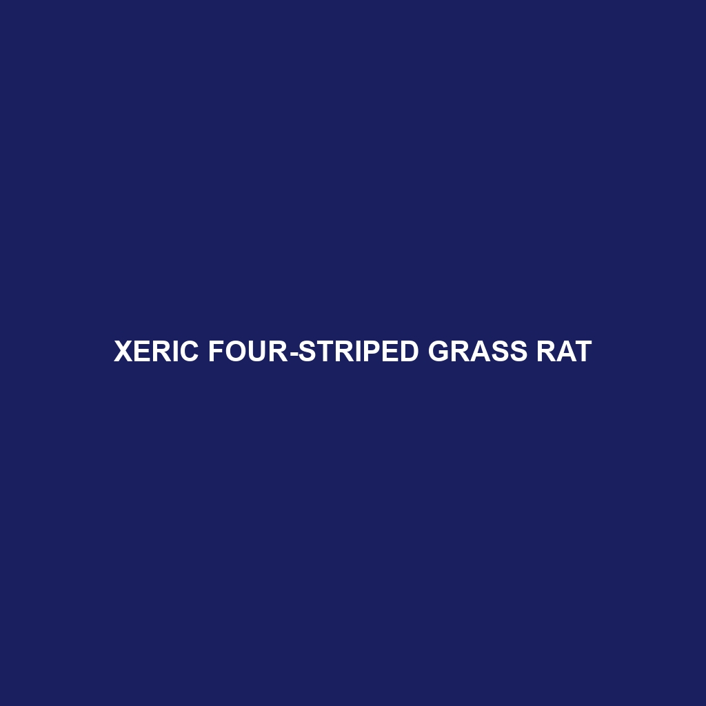 Xeric Four-striped Grass Rat