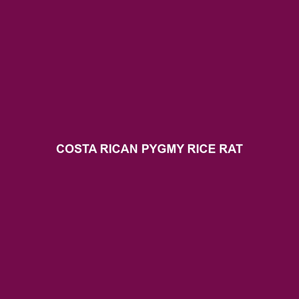 Costa Rican Pygmy Rice Rat