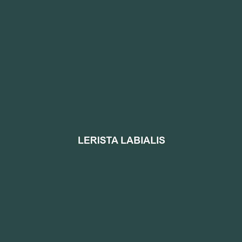 Lerista labialis