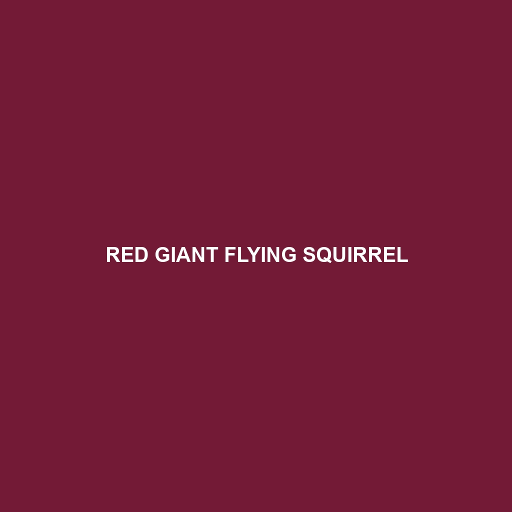 Red Giant Flying Squirrel