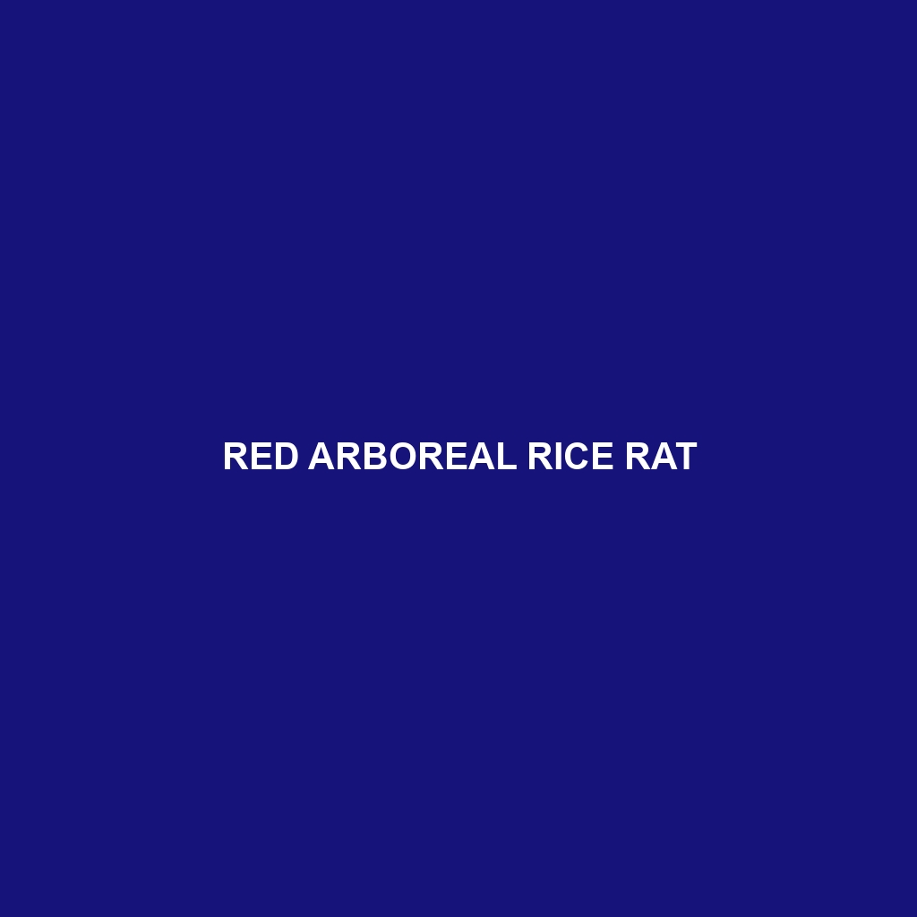 Red Arboreal Rice Rat