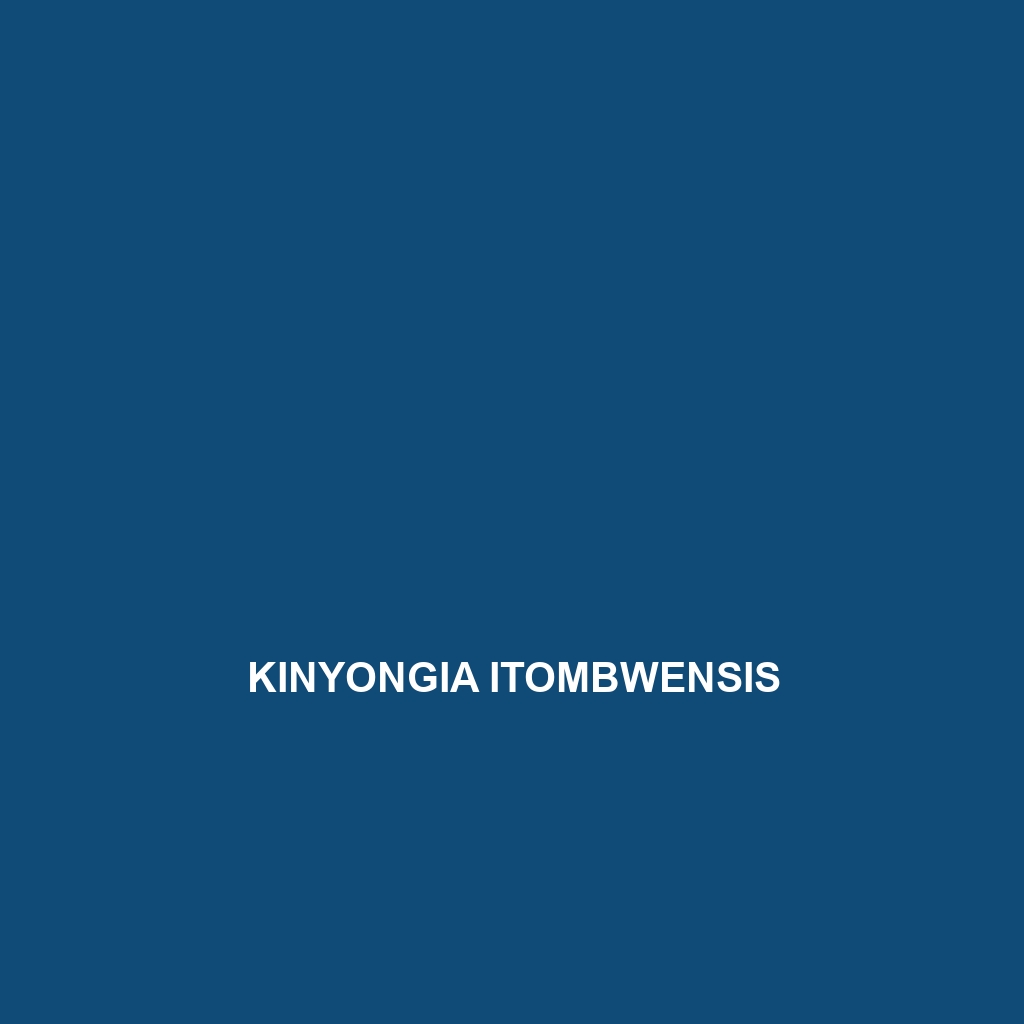 Kinyongia itombwensis