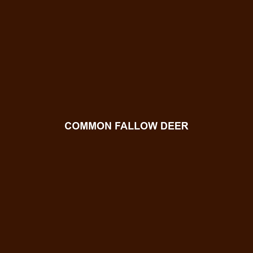 Common Fallow Deer